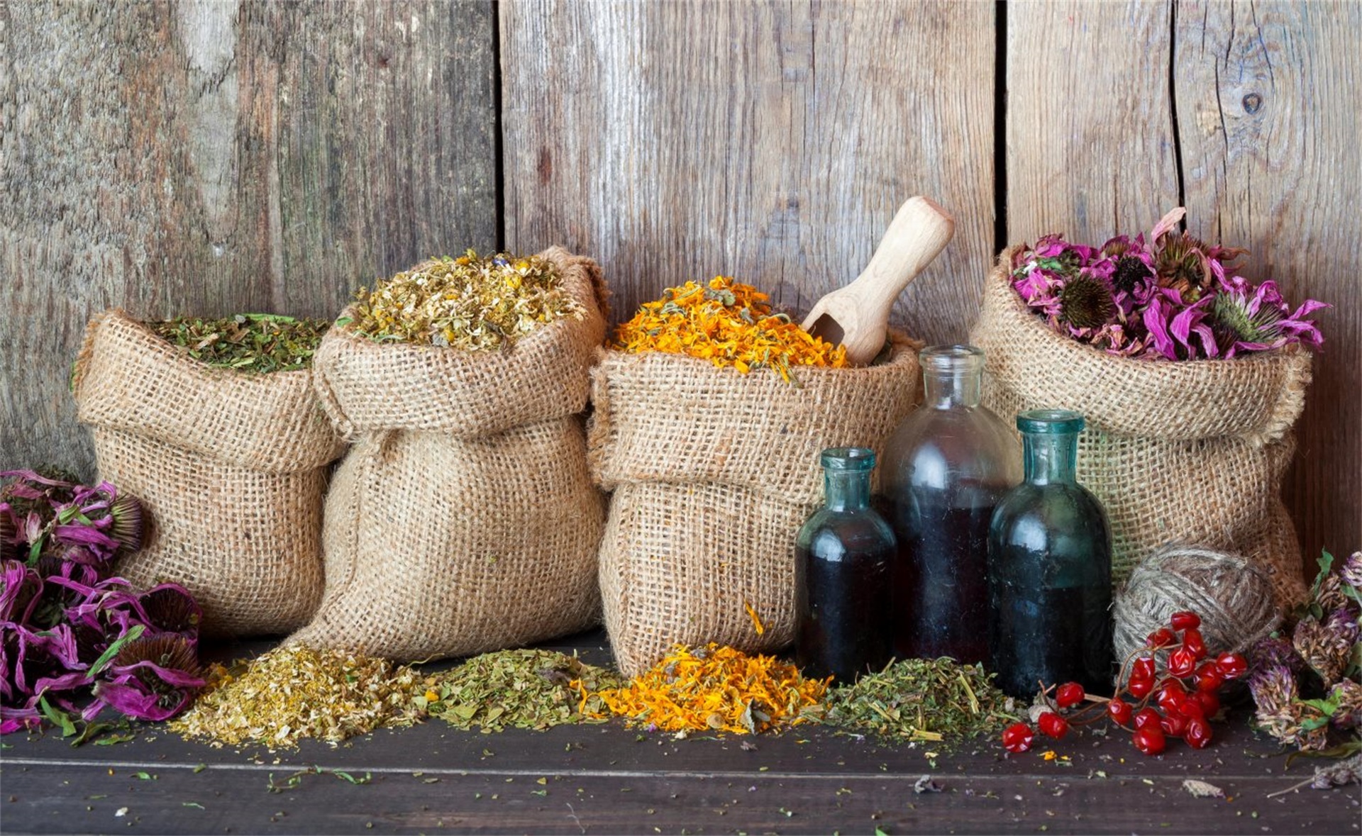 基于历史传承的草本。